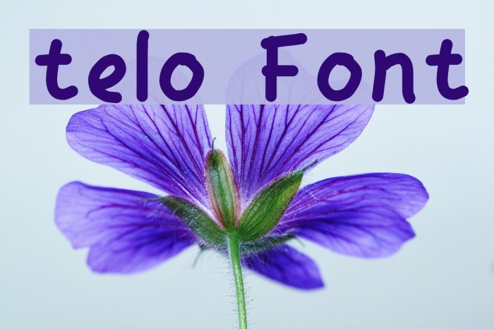 telo Font examples