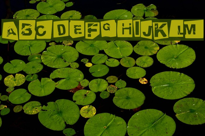 tengo a tus hijos negativo Example 1