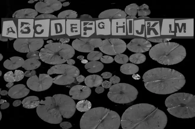 tengo a tus hijos negativo Font examples