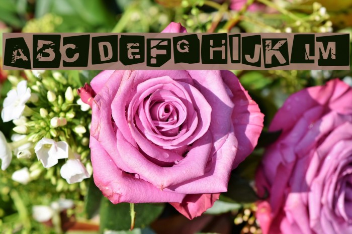 tengo a tus hijos negativo Example 3