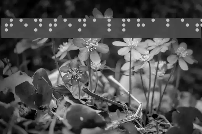 tentenalphabet Font examples