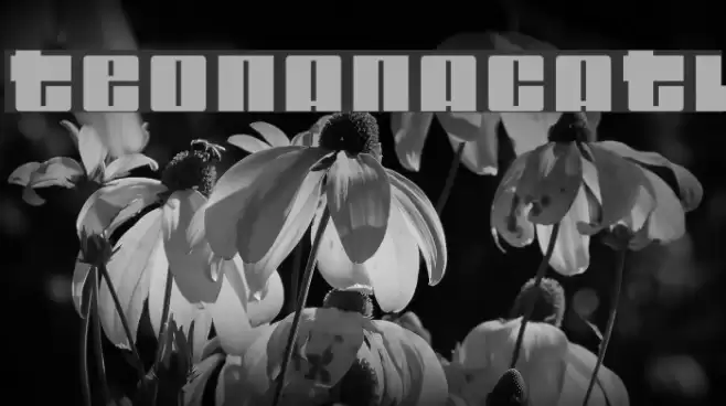 teonanacatl Font examples