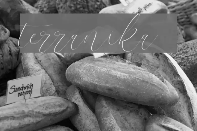 terranika Font examples