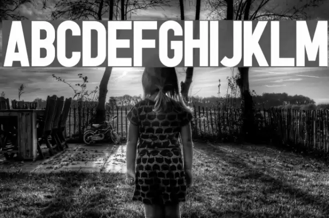 tes© Bold Font examples