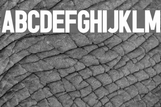 tes© Bold Font examples