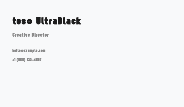 tes© UltraBlack Business Card
