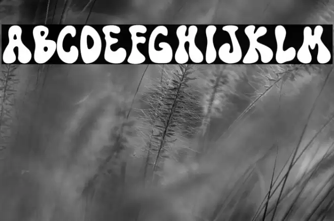 TF Funky Fusion Demo Fuentes examples