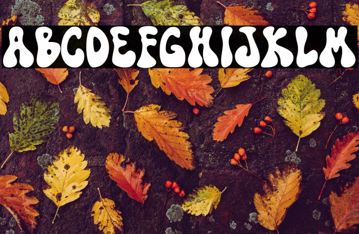 TF Funky Fusion Demo Example 3