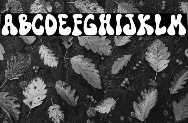 TF Funky Fusion Demo Fuentes examples