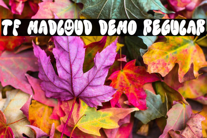 TF Madloud DEMO Regular Example 1