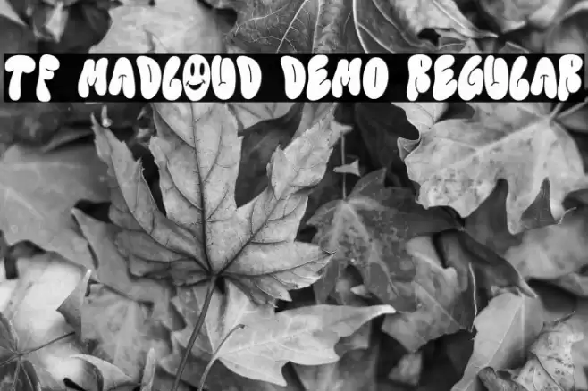 TF Madloud DEMO Regular Font examples