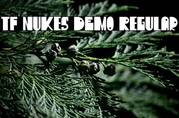 TF Nukes DEMO Regular Example 1