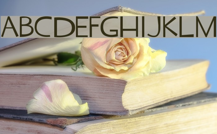 TF2 Secondary Font examples