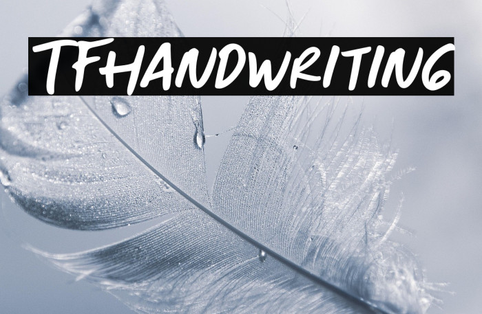 TFHandwriting Example 1