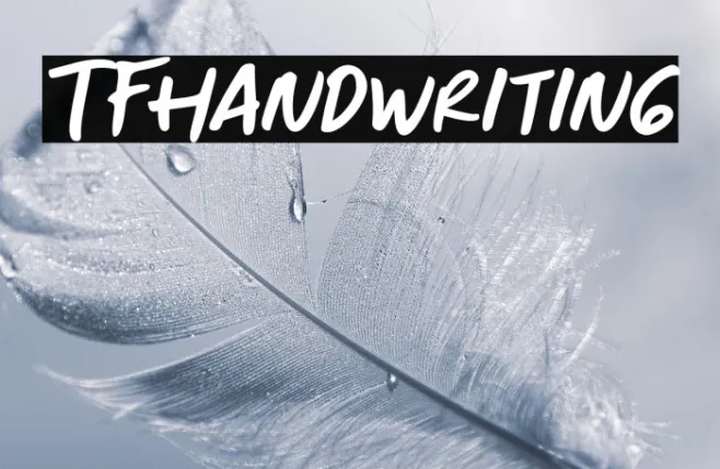 TFHandwriting Example 1