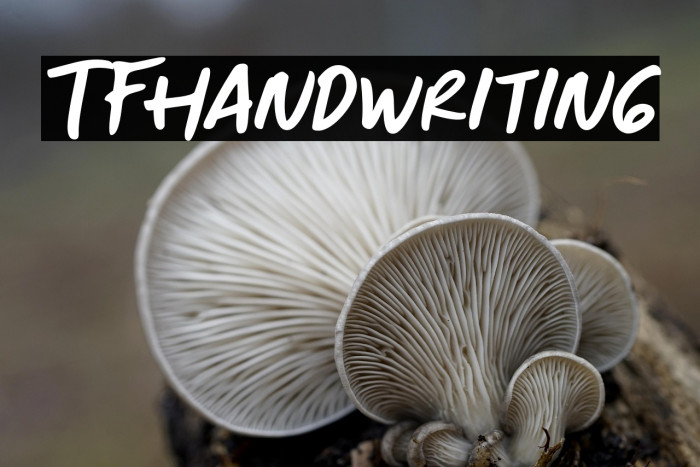 TFHandwriting Example 2