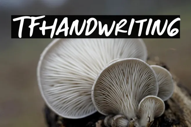 TFHandwriting Example 2