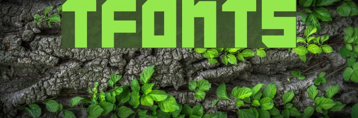 TFonts Fonte examples