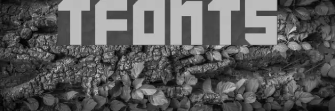TFonts Font examples