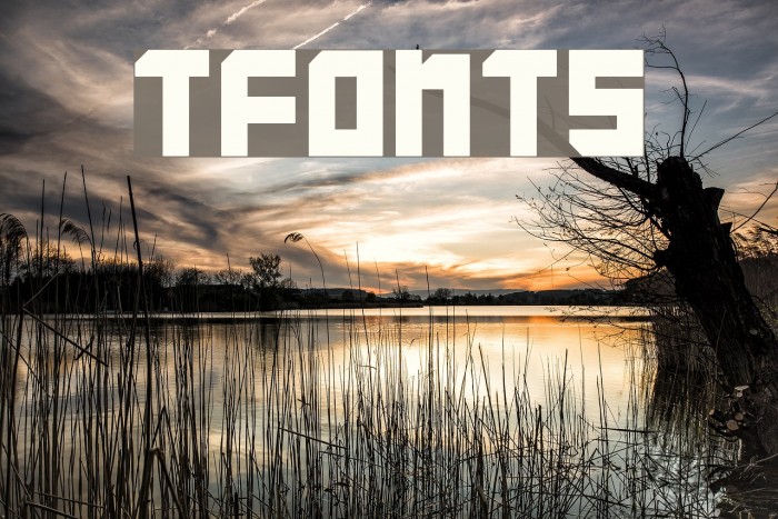 TFonts Fonte examples