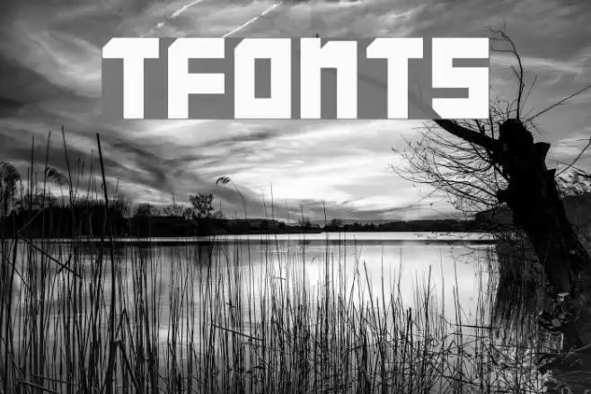 TFonts Font examples