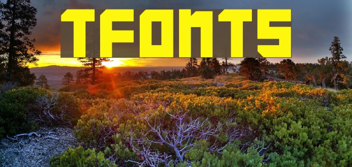 TFonts Fonte examples