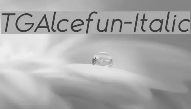 TGAlcefun-Italic Font examples
