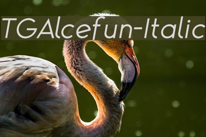 TGAlcefun-Italic Font examples
