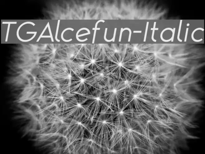 TGAlcefun-Italic Font examples
