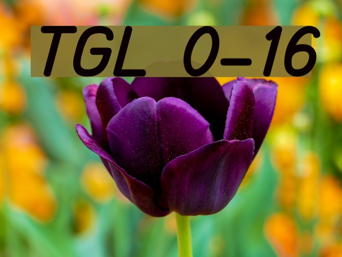 TGL 0-16 Font examples