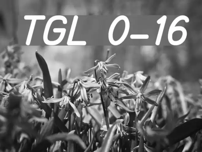 TGL 0-16 Font examples