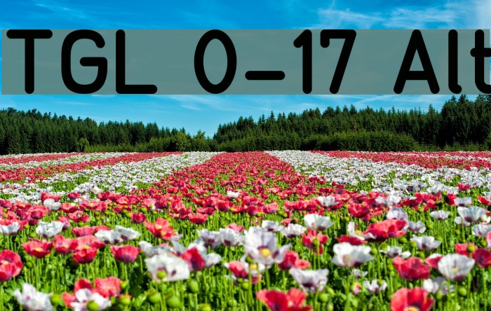 TGL 0-17 Alt Font examples