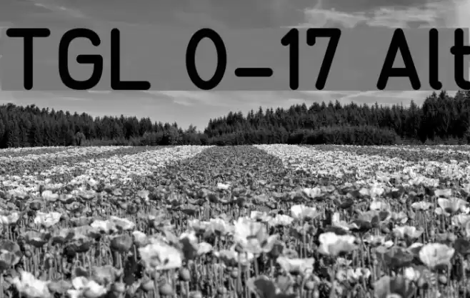 TGL 0-17 Alt examples