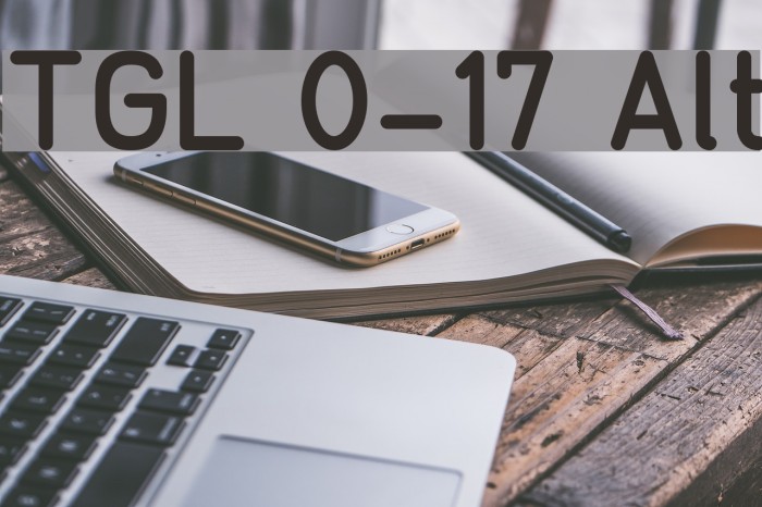 TGL 0-17 Alt Font examples