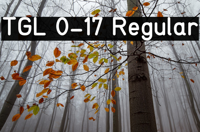 TGL 0-17 Regular Font examples