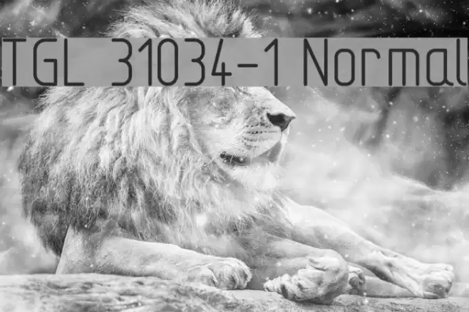 TGL 31034-1 Normal Polices examples