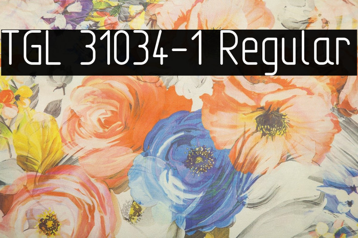 TGL 31034-1 Regular Font examples