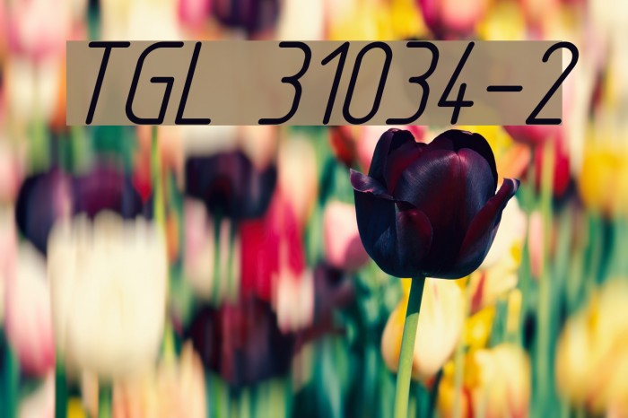 TGL 31034-2 Font examples