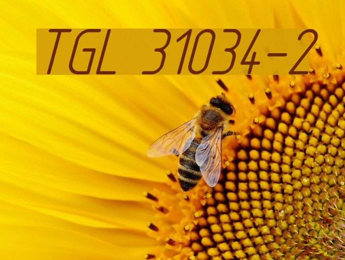 TGL 31034-2 Font examples