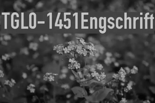 TGL0-1451Engschrift Font examples