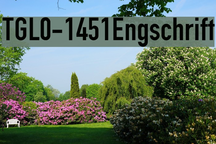 TGL0-1451Engschrift Font examples