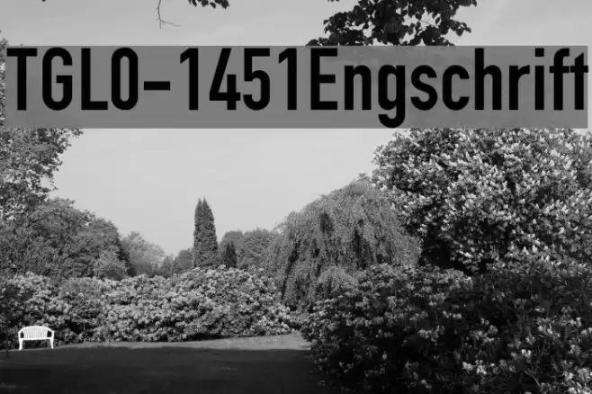 TGL0-1451Engschrift Font examples