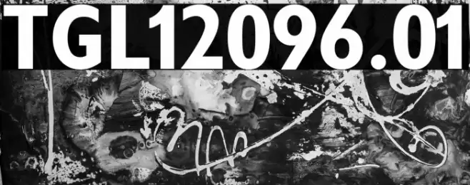 TGL12096.01 字体 examples