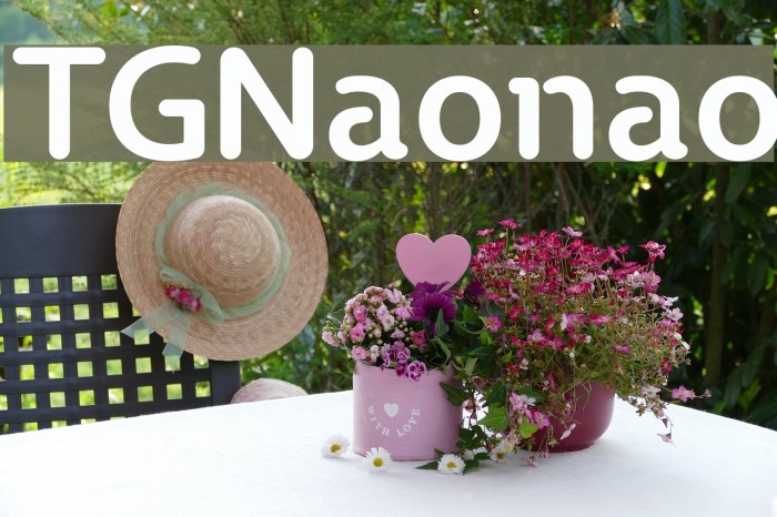 TGNaonao Font examples