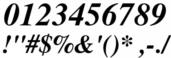 TGRoman Bold Italic Font OTHER CHARS