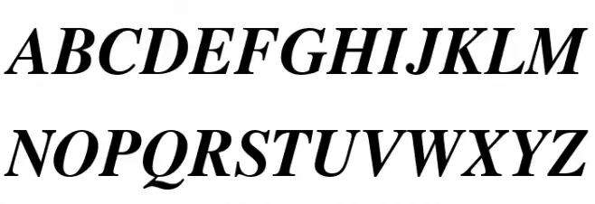 TGRoman Bold Italic Schriftart Groß