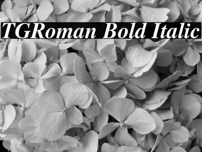 TGRoman Bold Italic Font examples