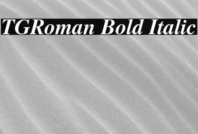 TGRoman Bold Italic Font examples