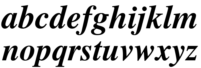 TGRoman Bold Italic Font LOWERCASE