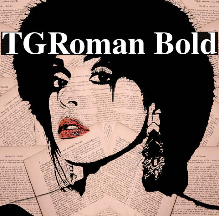 TGRoman Bold Example 1